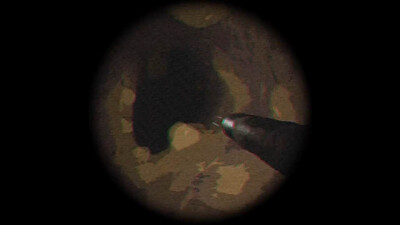 второй скриншот из Tiny Chills: Not From Ear BETA