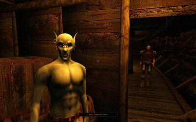 четвертый скриншот из New Morrowind The Elder Scrolls III