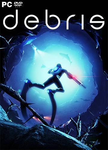 Debris