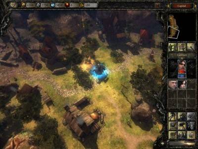 первый скриншот из Disciples: Full Edition