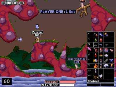 третий скриншот из Worms 2