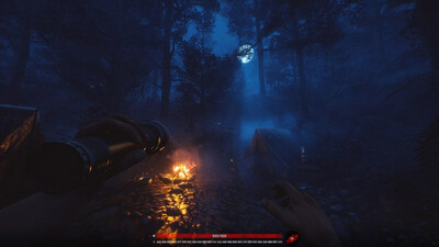 второй скриншот из Blood Bear
