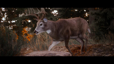 первый скриншот из Hunting Simulator 3
