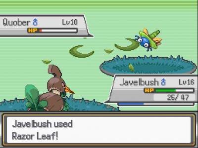 второй скриншот из Pokemon RMN Version