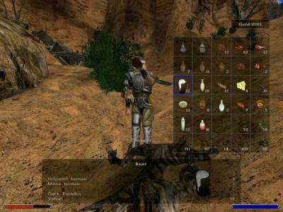 второй скриншот из Gothic 2: Night of the Raven + Mods Pack