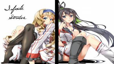 третий скриншот из Infinite Stratos