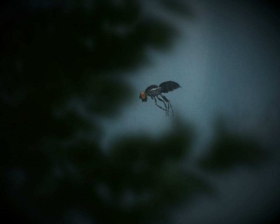 третий скриншот из The Plan