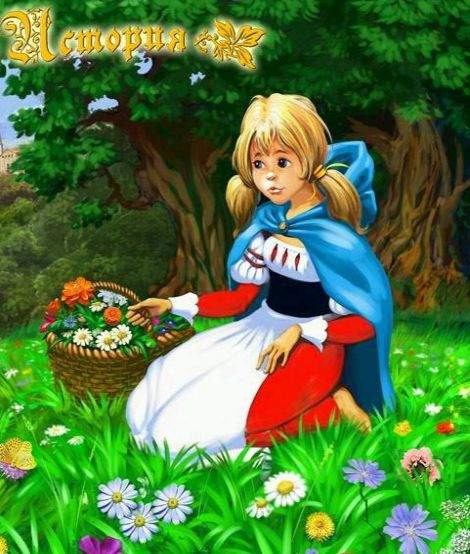 Flowers Story Flowers Story