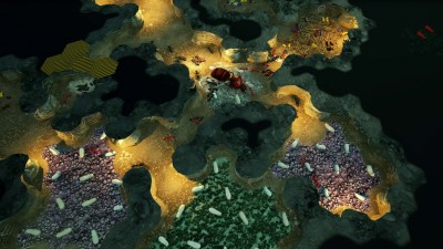 третий скриншот из Empires of the Undergrowth