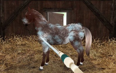 четвертый скриншот из Planet Horse: Mein grosses Pferdeabenteuer