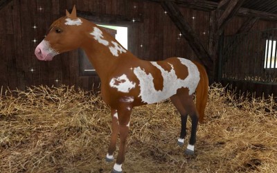 третий скриншот из Planet Horse: Mein grosses Pferdeabenteuer